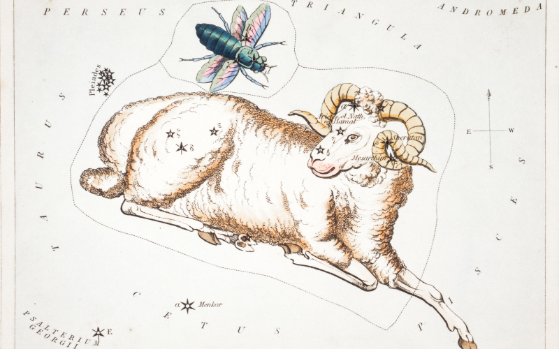 Trong tình yêu, cung Bạch Dương là người như thế nào?